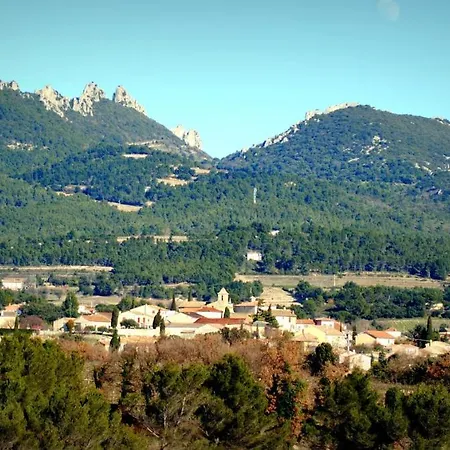 Terre De Bacchus *